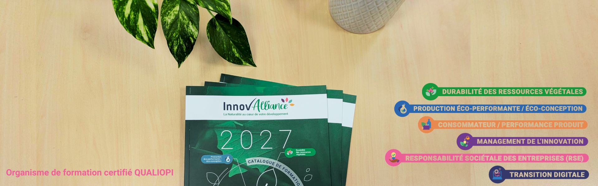 Le catalogue 2027 est arrivé  !