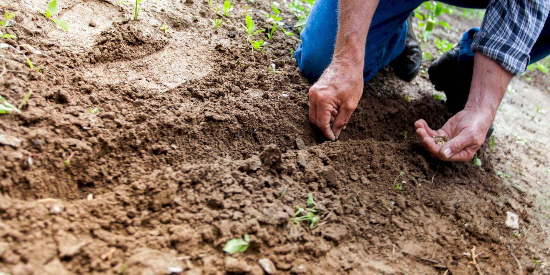 Les principes de l'agroécologie