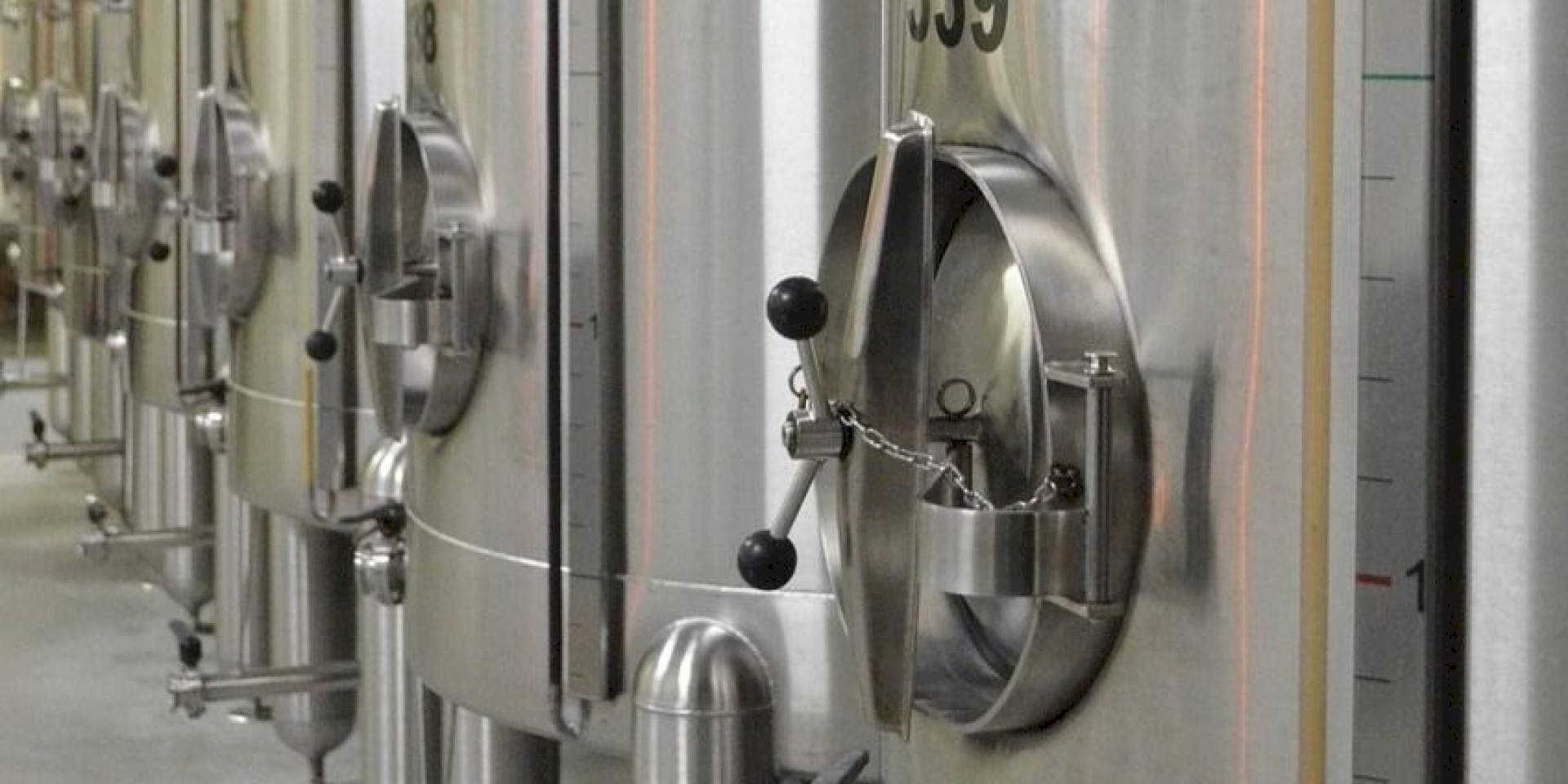 Innover dans les produits végétaux par la fermentation
