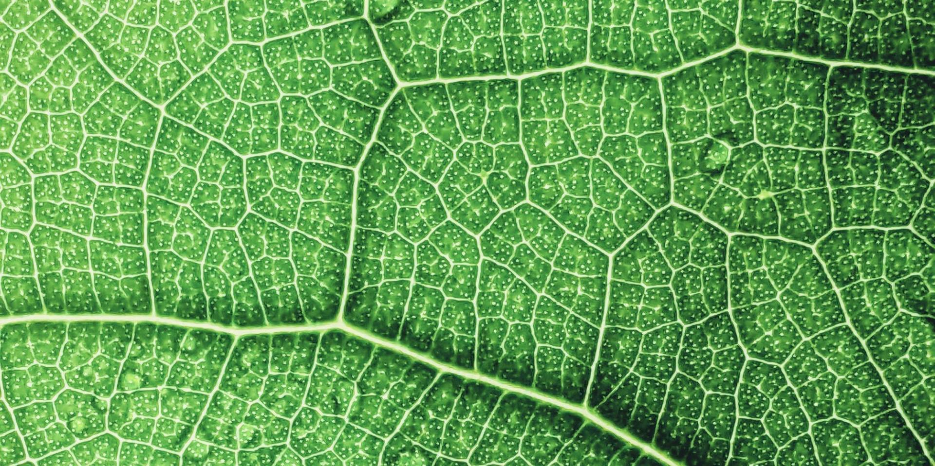 Introduction aux biotechnologies