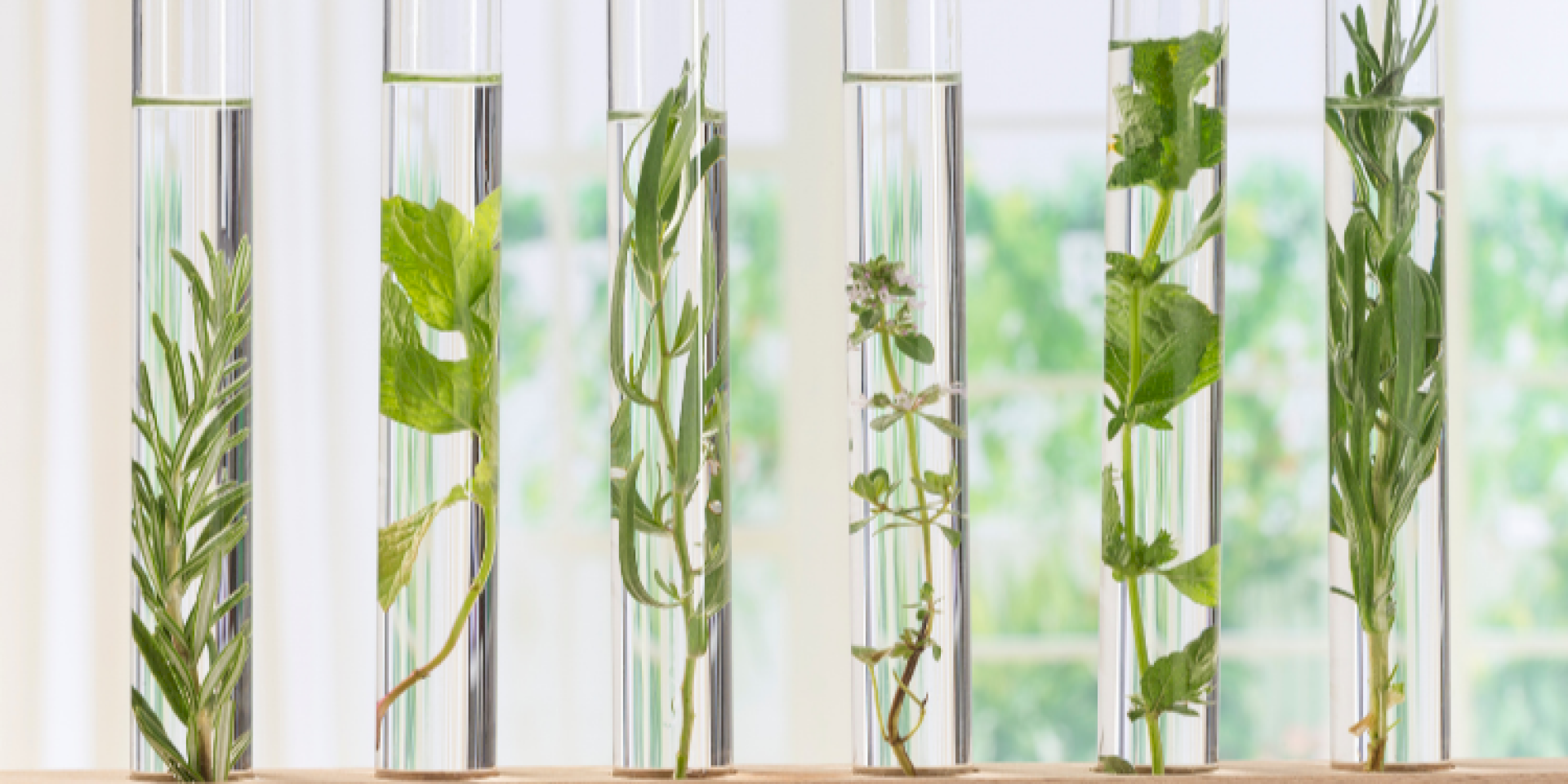 Introduction aux biotechnologies