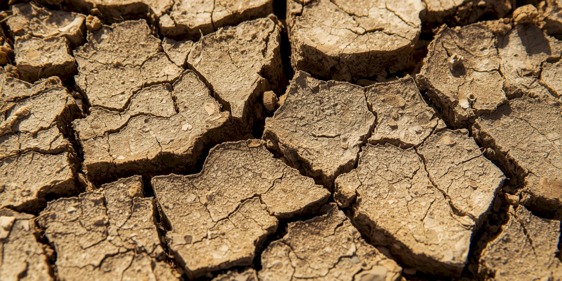 Anticiper et s’adapter au changement climatique